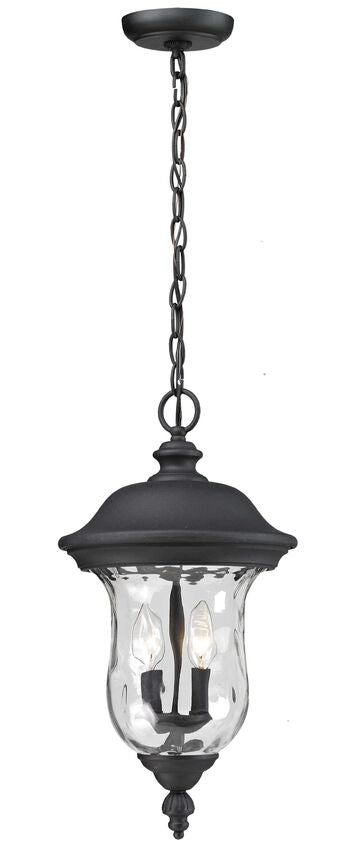 Outdoor Landscape Lighting LED 12V Low Voltage Armstrong 533CHM 2 Lights Outdoor Chain Mount Ceiling Hanging Pendant Fixture 10.0" x 10.0" x 18.82" Black Aluminum Clear Waterglass Glass Line Voltage Candelabra 120V 2 E12 Base Sockets for Garden, Exterior Lighting