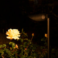 Outdoor Landscape Lighting LED 12V Low Voltage SPAL01 Acuto Tall Spotlight Low Voltage Aluminum 7W 3000K Warm White MR16 LED Spotlight Outdoor Landscape Lighting