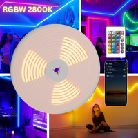 Outdoor Landscape Lighting LED 12V Low Voltage SLNR15 Dotless Neon RGB + Warm White 2800K or Cool White 6000K LED Strip Light Remote and Wi-Fi App Control DC24V IP65 Outdoor Rated Dimmable Silicone Strip Light Screws, Mounting Clips, End Cap, Screws, Remote Control and Controller with Power Cable RGB + 2800K Warm White
