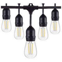 Outdoor Landscape Lighting LED 12V Low Voltage SL101 3000K Warm White LED Low Voltage Bistro String Lights 48 FT Outdoor Weatherproof 12V Edison Bulbs