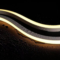 Outdoor Landscape Lighting LED 12V Low Voltage SLN12 Dotless Neon Soft Silicone Vertical Bending LED Strip Light 10x10mm 2.44W/ft DC12V/24V IP68 16.4ft with Screws and Mounting Clips