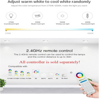 Outdoor Landscape Lighting LED 12V Low Voltage Miboxer WL5-WP LED Strip Light 5 in 1 Controller for 5050 3528 2835, IP67 Waterproof with Smartphone APP Control