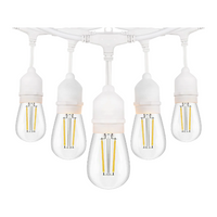 Outdoor Landscape Lighting LED 12V Low Voltage SL101 3000K Warm White LED Low Voltage Bistro String Lights 48 FT Outdoor Weatherproof 12V Edison Bulbs
