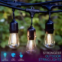 Outdoor Landscape Lighting LED 12V Low Voltage SL101 3000K Warm White LED Low Voltage Bistro String Lights 48 FT Outdoor Weatherproof 12V Edison Bulbs