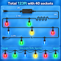 Outdoor Landscape Lighting LED 12V Low Voltage SLR100 LED RGBCWIC Smart Bistro String Lights Color Changing Outdoor Weatherproof 24V Edison Bulbs 123 FT - 40 Bulbs (Not Connectable)