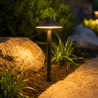 Outdoor Landscape Lighting LED 12V Low Voltage Complete Brass Driveway and Walkway Lighting Kit: Path Lights, Transformer, Wire & All Required Components