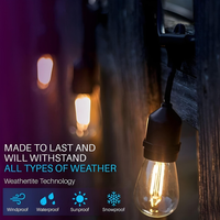 Outdoor Landscape Lighting LED 12V Low Voltage SL101 LED Low Voltage Bistro String Lights 48 FT Outdoor Weatherproof 12V Edison Bulbs with 100W DC Transformer and 55ft Hanging Kit Package Deal