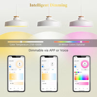 Outdoor Landscape Lighting LED 12V Low Voltage RGBCW MR16 5W Smart WIFI LED Light Bulb 4 Pack, Energy Saving RGBCW Color Changing 12V Outdoor LED Bulb Compatible with Alexa, Google Assistant, and Siri