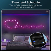 Outdoor Landscape Lighting LED 12V Low Voltage SLNR09 Dotless COB Smart Wi-Fi Bluetooth RGBW 16.4ft Neon LED Strip Light DC12V IP65 Outdoor Rated Dimmable Low Voltage Silicone Strip Light with Mounting Clips, Screws, Power Adapter and Voice Control