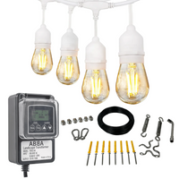 Outdoor Landscape Lighting LED 12V Low Voltage SL101 LED Low Voltage Bistro String Lights 48 FT Outdoor Weatherproof 12V Edison Bulbs with 100W DC Transformer and 55ft Hanging Kit Package Deal White