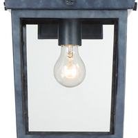 Outdoor Landscape Lighting LED 12V Low Voltage Belmont 1 Light Outdoor Sconce 9.5
