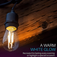 Outdoor Landscape Lighting LED 12V Low Voltage SL101 3000K Warm White LED Low Voltage Bistro String Lights 48 FT Outdoor Weatherproof 12V Edison Bulbs