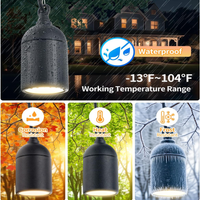 Outdoor Landscape Lighting LED 12V Low Voltage HLA06 2-Pack Low Voltage Black Rounded Pendant with MR16 3W 300LM 3000K Warm White LED Aluminum Light Hanging Patio Light Package