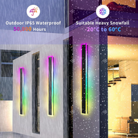 Outdoor Landscape Lighting LED 12V Low Voltage SCH16 2-Pack 32W RGB-IC Tunable White 39.4 Inch LED Rectangular Modern Outdoor Wall Sconce Light Dimmable 120V Line Voltage IP65