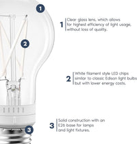 Outdoor Landscape Lighting LED 12V Low Voltage E26 A19 7W Filament 120V Line Voltage 5CCT 2700K/3000K/3500K/4000K/5000K Bulbs Package Dimmable CRI90 Energy Saving High Voltage Medium Base Light Bulb
