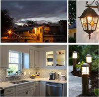 Outdoor Landscape Lighting LED 12V Low Voltage 10 Pack G4 5W Bi Pin 3000K/4000K/6000K LED Capsule 450LM 120V Line Voltage Bulb Energy Efficient Light IP20