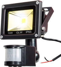 Outdoor Landscape Lighting LED 12V Low Voltage 10W 12V Low Voltage AC/DC IP65 Waterproof 10W Mini LED Outdoor Security Flood Lights with PIR and Motion Sensor 3000K Warm White