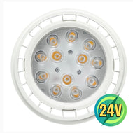PAR36 12W DC24V Low Voltage 60° Outdoor Landscape LED Bulbs Waterproof Flood Light Fixture - 2700K Soft White / Single