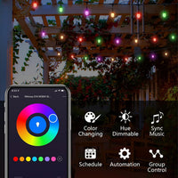 Outdoor Landscape Lighting LED 12V Low Voltage SLR102 LED RGBW Smart Bistro Acrylic String Lights Color Changing Outdoor Weatherproof 24V Edison Bulbs