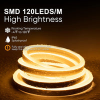 Outdoor Landscape Lighting LED 12V Low Voltage SLN06 Dotless Neon LED Strip Light 110-130V 8mm (W) x 16mm (H) IP65 Outdoor Rated Dimmable High Voltage Silicone Strip Light with Mounting Clips, Screws with Power Cable