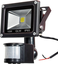 Outdoor Landscape Lighting LED 12V Low Voltage 10W 12V Low Voltage AC/DC IP65 Waterproof 10W Mini LED Outdoor Security Flood Lights with PIR and Motion Sensor 6000K Daylight White