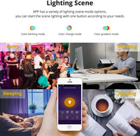 Outdoor Landscape Lighting LED 12V Low Voltage MR16 RGBCW 2700K-6000K 5W Smart WIFI LED Light Bulb, Energy Saving Color Changing 12V Outdoor LED Bulb Compatible with Alexa, Google Assistant, and Siri