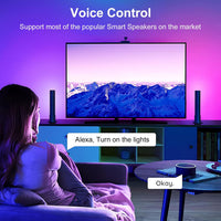 Outdoor Landscape Lighting LED 12V Low Voltage DR04W Tuya SPI Wi-Fi RGBW LED Controller Compatible with Alexa and Google Assistant, Support WS2913 WS2814 WS2815 LED Strip STA Mode