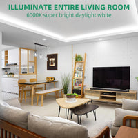 Outdoor Landscape Lighting LED 12V Low Voltage SLN05 Dotless Neon LED Strip Light 12mm (H) x 6mm (W) 3000K/6000K DC24V IP65 Outdoor Rated Dimmable Low Voltage Silicone Strip Light with Mounting Clip, Screws, End Cap and Power Adapter