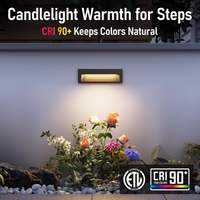 Outdoor Landscape Lighting LED 12V Low Voltage STLA10 6-Pack 6W Low Voltage 10.6