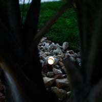 Outdoor Landscape Lighting LED 12V Low Voltage SPBP04 Rein Brown Brass Spot Light Low Voltage Outdoor Lighting