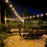 Outdoor Landscape Lighting LED 12V Low Voltage SL103 2800K Warm White LED Low Voltage Bistro String Lights 50 FT Outdoor Weatherproof 10pcs Connect Anywhere 12V Edison Bulbs