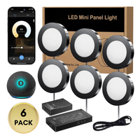 Outdoor Landscape Lighting LED 12V Low Voltage CBSA01 6 Pack 2W 12V 3000K-6000K Smart Recessed Cast Aluminum Cabinet Light Energy Saving Dimmable LED Downlighting with Remote Control Black