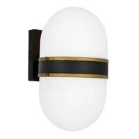 Outdoor Landscape Lighting LED 12V Low Voltage Brian Patrick Flynn Capsule 1 Light Outdoor Sconce 6