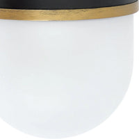 Outdoor Landscape Lighting LED 12V Low Voltage Brian Patrick Flynn Capsule 1 Light Outdoor Sconce 6