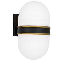 Outdoor Landscape Lighting LED 12V Low Voltage Brian Patrick Flynn Capsule 2 Light Outdoor Sconce 8