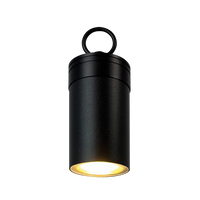 Outdoor Landscape Lighting LED 12V Low Voltage CD90 3000K Warm White Integrated LED AC12V Low Voltage Philips Bulb Aluminum Cylinder Pendant Light Hanging Spotlight