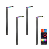 Outdoor Landscape Lighting LED 12V Low Voltage CDPSR58 4x/8x/12x Package Wi-Fi Smart RGBCW 3W Stainless Steel Directional Pathway Light LED 12V Low Voltage Bollard Landscape Lighting Stainless Steel 4 Pack