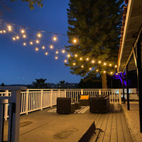 Outdoor Landscape Lighting LED 12V Low Voltage SL101 3000K Warm White LED Low Voltage Bistro String Lights 48 FT Outdoor Weatherproof 12V Edison Bulbs