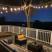 Outdoor Landscape Lighting LED 12V Low Voltage SL101 LED Low Voltage Bistro String Lights 48 FT Outdoor Weatherproof 12V Edison Bulbs with 100W DC Transformer and 55ft Hanging Kit Package Deal