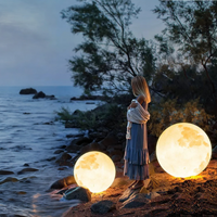 Outdoor Landscape Lighting LED 12V Low Voltage 3D Moon Indoor & Outdoor Floor Lamp 2-pack