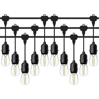Outdoor Landscape Lighting LED 12V Low Voltage SL103 2800K Warm White LED Low Voltage Bistro String Lights 50 FT Outdoor Weatherproof 10pcs Connect Anywhere 12V Edison Bulbs No Hanging Kit