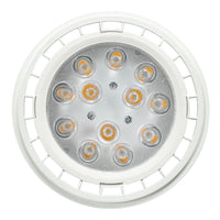 Outdoor Landscape Lighting LED 12V Low Voltage PAR36 12V Low Voltage AC/DC 12W 60° Outdoor Landscape LED Bulbs Waterproof Floodlight Fixture