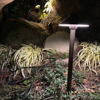 Outdoor Landscape Lighting LED 12V Low Voltage PLB02 Clear Lens Outdoor Garden Pathway Light | 12V Low Voltage Brass Path Light