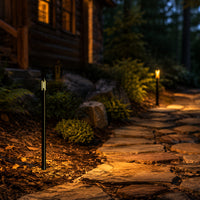 Outdoor Landscape Lighting LED 12V Low Voltage PLB25 Cast Brass Path and Area Light LED 12V Low Voltage Pathway Outdoor Lighting Landscape Fixture G4 Socket