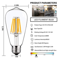 Outdoor Landscape Lighting LED 12V Low Voltage E26 6W 12V-36V 2700K/3000K/6000K AC/DC LED Filament Edison Bulbs Package Dimmable Energy Saving Low Voltage Light Bulb