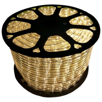 Outdoor Landscape Lighting LED 12V Low Voltage RL100 LED DC12V Low Voltage Rope Lights Outdoor IP65 3000K, 5000K, Multi Color RGB, Pink, Purple, Red, Yellow, Blue, Green Warm White 3000K