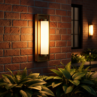 Outdoor Landscape Lighting LED 12V Low Voltage SCH21 15W Modern Dusk-to-Dawn Outdoor 16