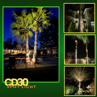 Outdoor Landscape Lighting LED 12V Low Voltage CD30 30W 12V Low Voltage LED Outdoor Aluminum Spotlight Directional Narrow Beam Angle