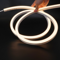 Outdoor Landscape Lighting LED 12V Low Voltage SLN04 Dotless COB LED Neon Side Flex Strip Light with End Cap 3.05W 0.47