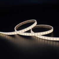 Outdoor Landscape Lighting LED 12V Low Voltage SLN03 3M SMD Neon LED Frosted Strip Light 1.8W/ft AC12V IP67 16.4ft